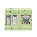 Cofanetto koala Mustela