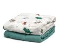 Set 2 mussoline con dinosauri Kiokids